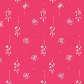 Pink Botanicals