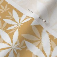 Bigger Scale Marijuana Cannabis Leaves White on Honey Gold