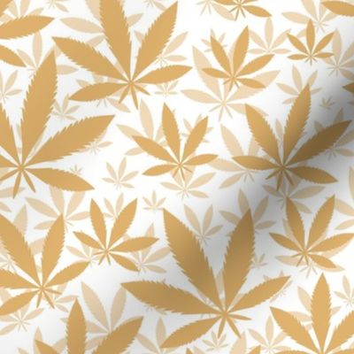Bigger Scale Marijuana Cannabis Leaves Honey Gold on White