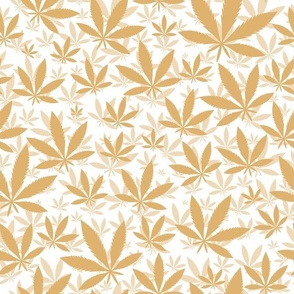 Bigger Scale Marijuana Cannabis Leaves Honey Gold on White