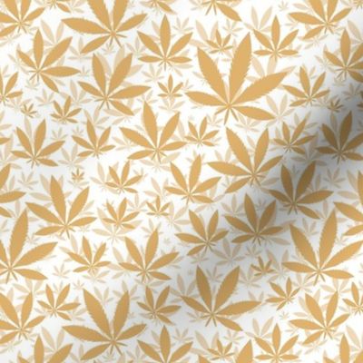 Smaller Scale Marijuana Cannabis Leaves Honey Gold on White