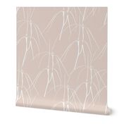 Spider Orchids Blush Pink - Large