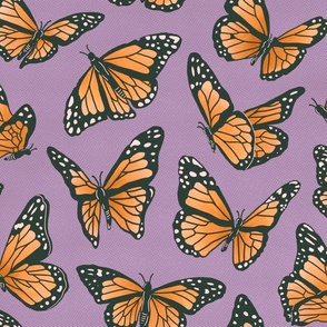 Fluttering in the Skies Above - Monarch Butterflies, Butterfly, Monarch, Orange, Sky, Blue, Insects