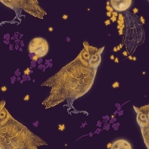 Celestial Owls