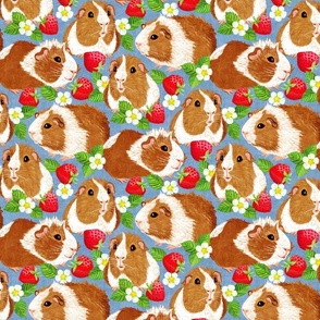 The Sweetest Guinea Pigs with Summer Strawberries on Denim Blue Medium