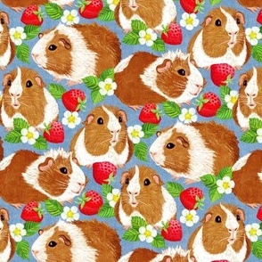 The Sweetest Guinea Pigs with Summer Strawberries on Denim Blue Small