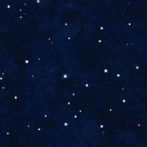indigo sky above - star gazing at night - indigo sky and stars ceiling wallpaper