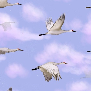 Dreamy sky with migratory storks (medium size version)