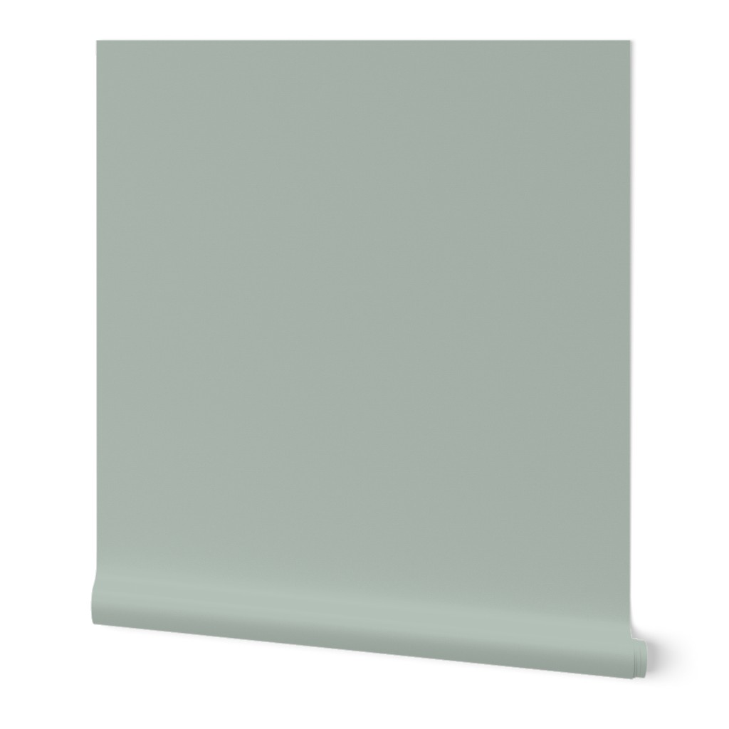 Solid Ash Gray Plain Color