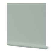 Solid Ash Gray Plain Color