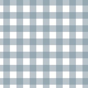 Blue Gray and White Gingham Plaid 