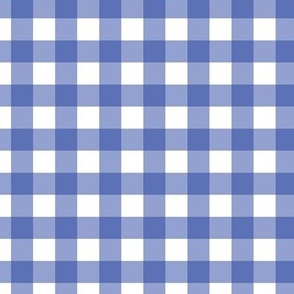 Blue and White Gingham Plaid