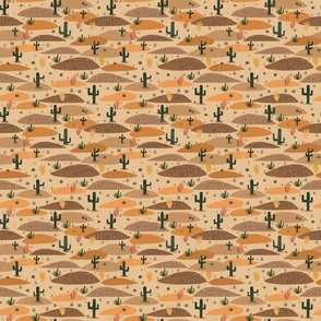Wild West - Saguaro cactus plains S