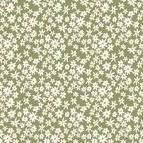 Wild Daisies Pattern in Green Playful boho daisies on green background // Small 