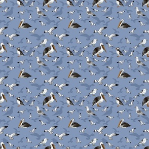 Seagulls Pelicans and Puffins (Lake Blue small scale) 