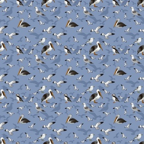 Seagulls Pelicans and Puffins (Sky Blue small scale)