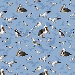 Seagulls Pelicans and Puffins (Sky Blue)