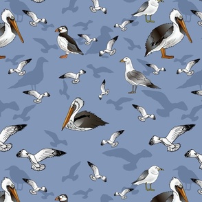Seagulls Pelicans and Puffins (Lake Blue large scale) 