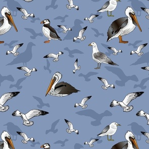 Seagulls Pelicans and Puffins (Sky Blue large scale)