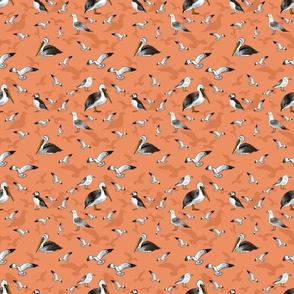 Seagulls Pelicans and Puffins (Sunset Orange small scale)