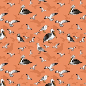 Seagulls Pelicans and Puffins (Sunset Orange)