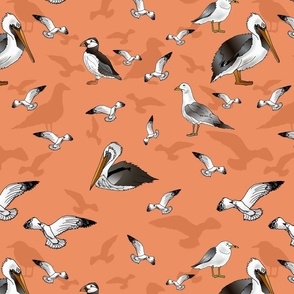 Seagulls Pelicans and Puffins (Sunset Orange large scale)