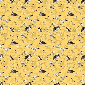 Seagulls Pelicans and Puffins (Sunshine Yellow small scale)