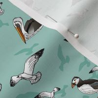 Seagulls Pelicans and Puffins (Sea Green small scale)