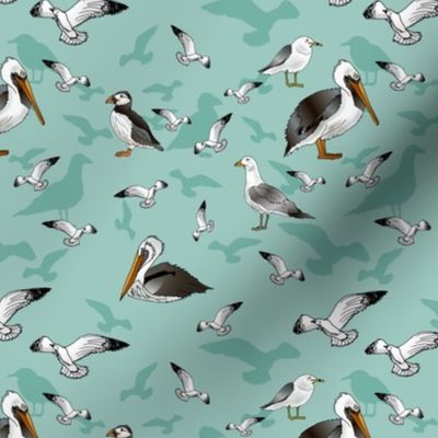 Seagulls Pelicans and Puffins (Sea Green small scale)