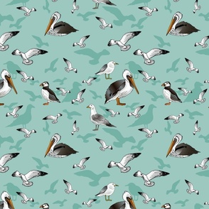 Seagulls Pelicans and Puffins (Sea Green)