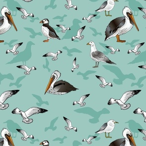 Seagulls Pelicans and Puffins (Sea Green large scale) 