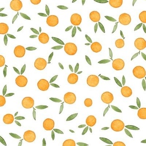 Watercolour Oranges 