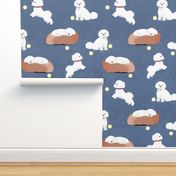 Bichon_Frise_Blue_Large