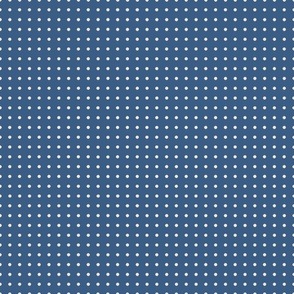 polka dots on a blue background    