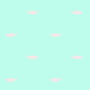 spaced_trout_mint_pink