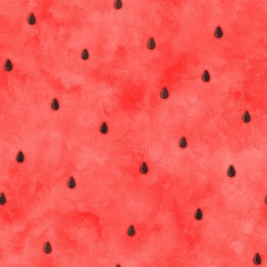 Watercolor watermelon texture