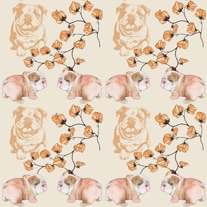 peach floral bulldogs