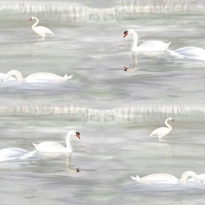 Swans on a Spring Lake