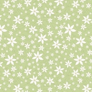 Delicate white starflower on green