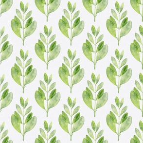 myrtus pimenta small - hand-painted green leaf - watercolor botanical wallpaper