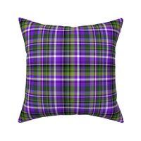 Lavender and Sage Plaid (small)