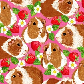 The Sweetest Guinea Pigs with Summer Strawberries on Hot Pink Large