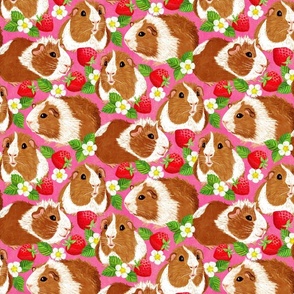 The Sweetest Guinea Pigs with Summer Strawberries on Hot Pink Medium
