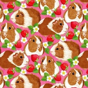 The Sweetest Guinea Pigs with Summer Strawberries on Hot Pink Small
