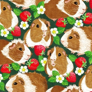 The Sweetest Guinea Pigs with Summer Strawberries on Dark Green Large