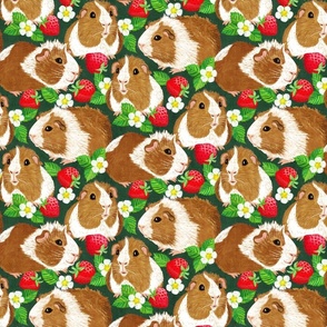 The Sweetest Guinea Pigs with Summer Strawberries on Dark Green Medium