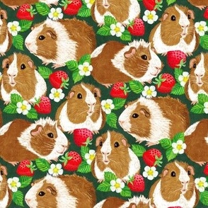 The Sweetest Guinea Pigs with Summer Strawberries on Dark Green Small