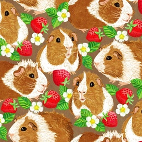 The Sweetest Guinea Pigs with Summer Strawberries on Earth Brown Large