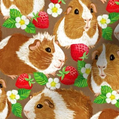 The Sweetest Guinea Pigs with Summer Strawberries on Earth Brown Medium