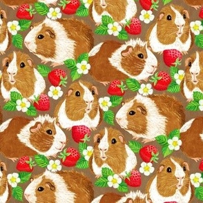 The Sweetest Guinea Pigs with Summer Strawberries on Earth Brown Small